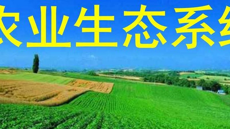 家庭农场补贴知多少？揭秘补贴政策背后的奥秘**