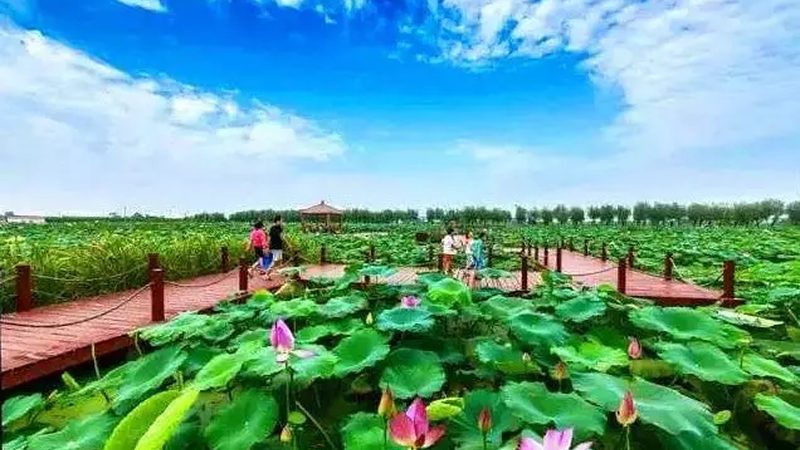 农资招标选平台，别让信息差吃掉你的利润