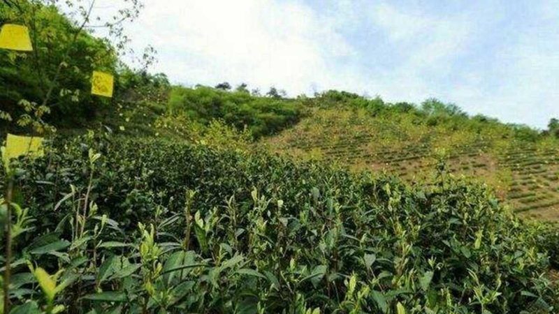 农资招标信息，到底该上哪找才靠谱