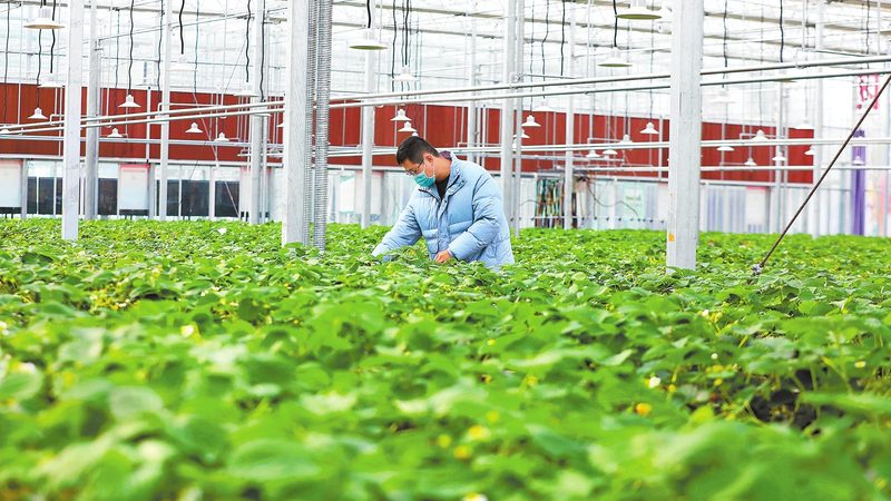 农民合作社注册审批时间到底要多久