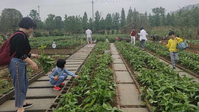 农产品配送平台排名：揭秘其背后的考量因素**