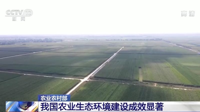 农业灌溉设备品牌对比：揭秘高效灌溉的秘密