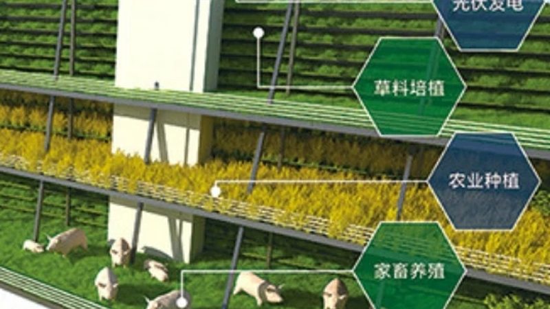 农业合作社如何助力农户风险防控**