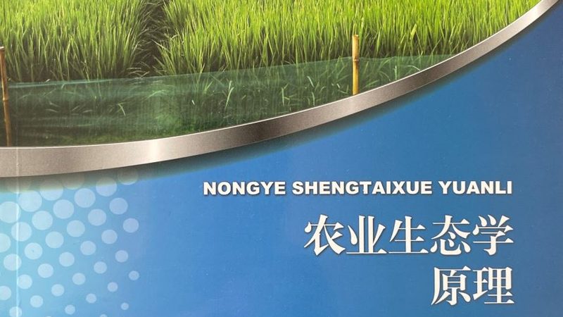 粮食种植技术培训：规范操作，提升亩产**