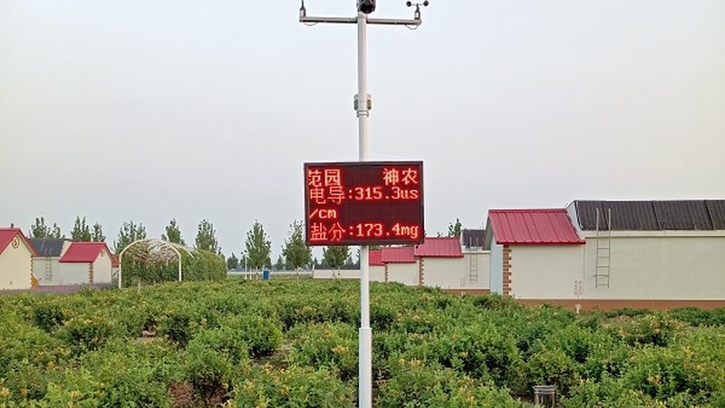 生鲜配送品牌洗牌期：谁在领跑，谁在掉队