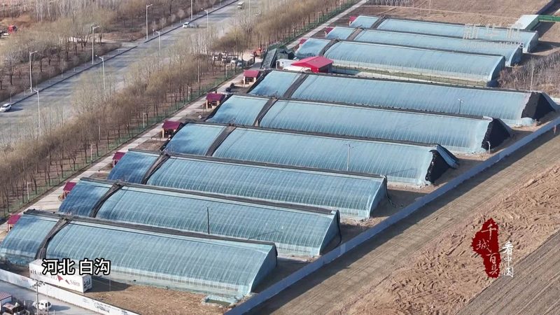 上海周边休闲农业基地的优与劣