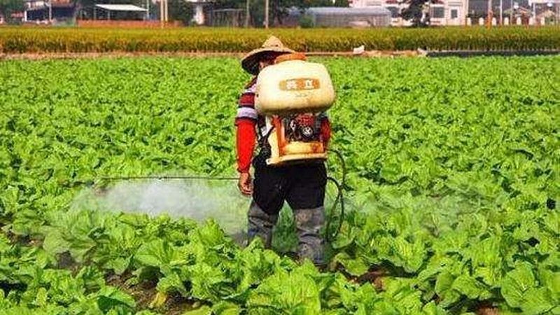 精准计算，科学种植：种植地块面积计算方法解析**