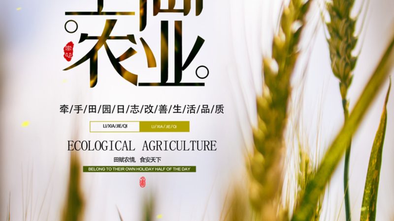 蔬菜大棚智慧化改造：流程揭秘与关键要点